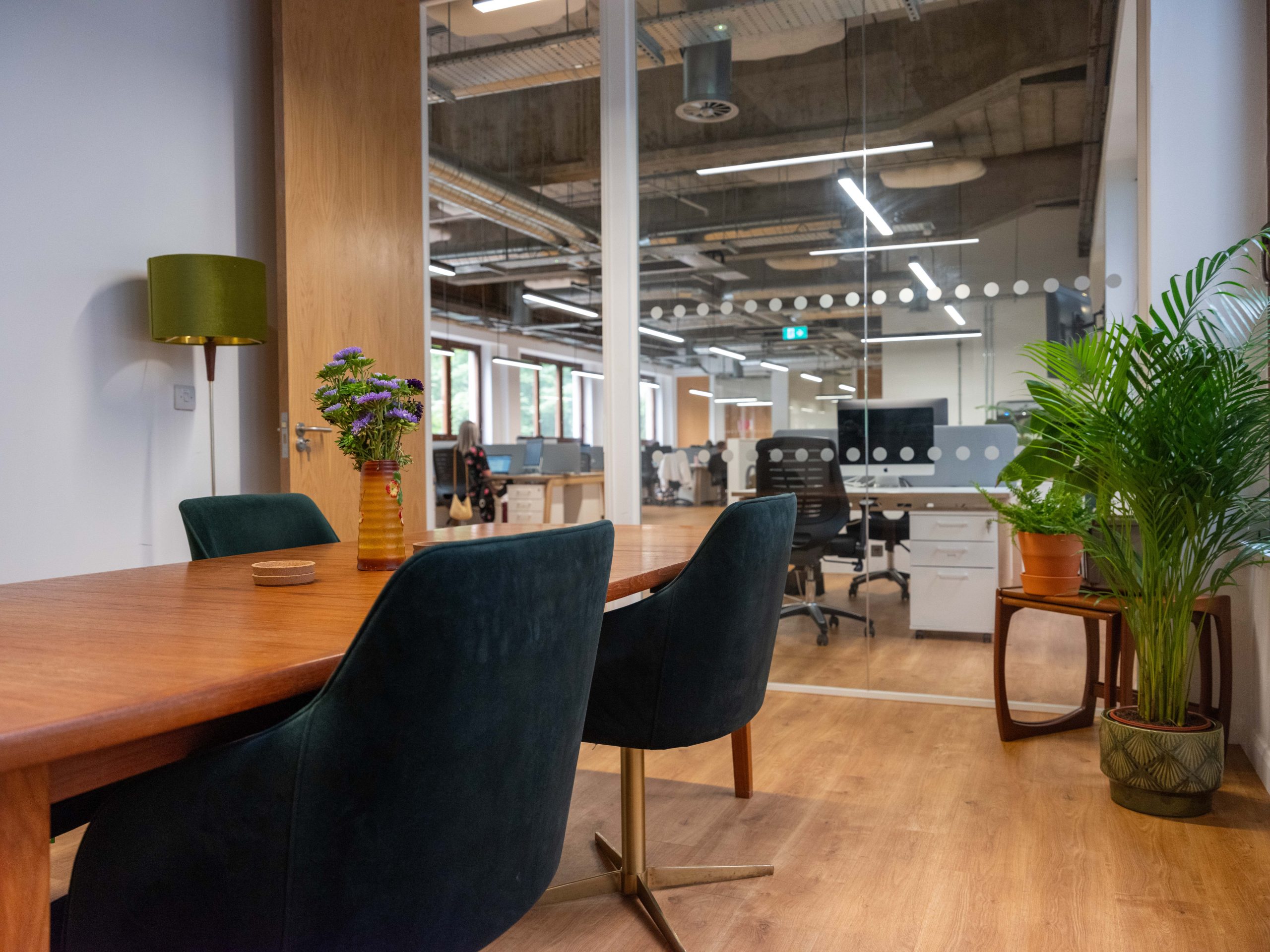 Modern office with laminate flooring, black, curvy chairs, and green plants